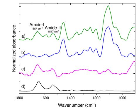 Atr Ftir Absorption Spectra 1800 900 Cm 1 Of A Ge 1 Bsa Green Download Scientific