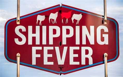 Premium Ai Image Shipping Fever