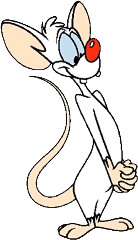 Pinky And The Brain PNG Images Transparent Free Download