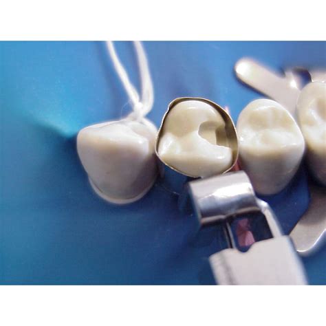 Banda Matriz Tofflemire Tdv Dental Web