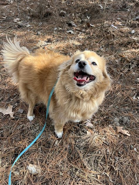 oakwood health club lafayette ca 8