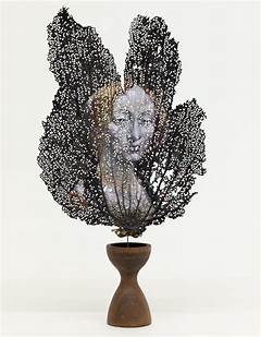 Chris Ohs Unexpected Hobby Its Weirder Than You Can Imagine