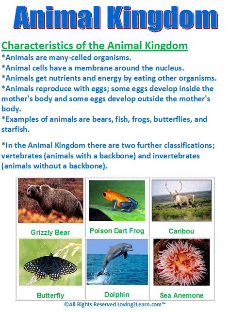 Animal Kingdoms Chart www.loving2learn.com | Life science, Kids life ...