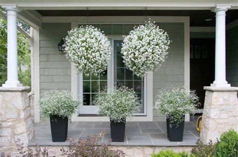 Hanging Flower Baskets 5 Secrets The Pros Use • The Garden Glove