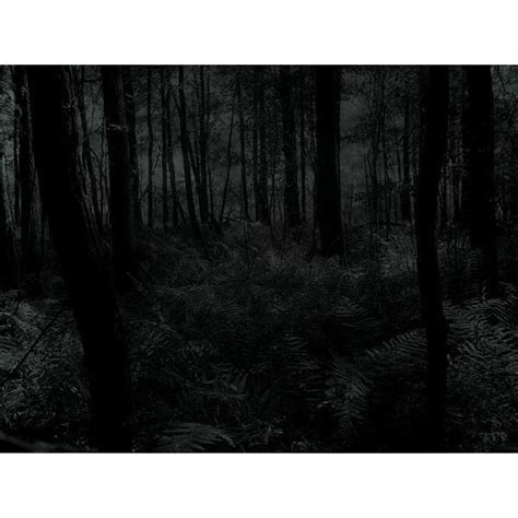 dark forest Купить Dark Forest screensaver : Заставки и Обои ...