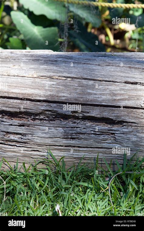 Wooden Property Marker Stock Photo Alamy