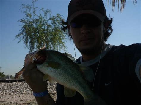 Donde Pescar Pesca En El Desierto Lobinas De Baja