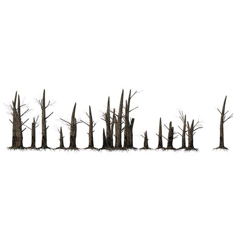Artstation Burned Forest Trees Game Assets