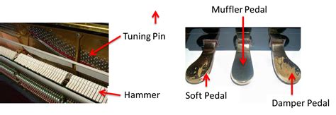 Parts Of An Upright Piano ~ Robinson Music Centre