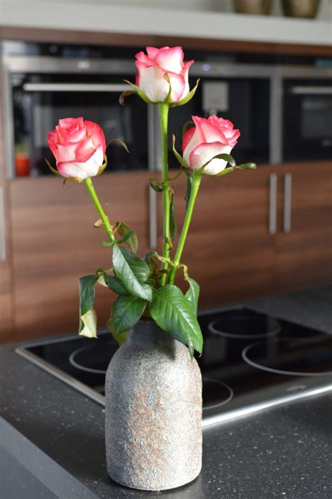 Marjoland Rozen | Onze rozen