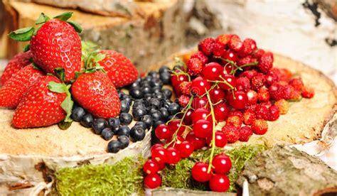 Wilde Beeren in Den Schüsseln Stockfoto Bild von schwarzes reif