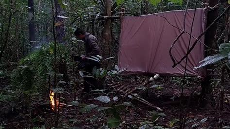 Full Hari Solo Camping Di Hutan Hujan Deras Menghantam Shelter