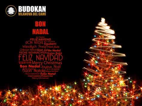 Bon Nadal I Feliç Any Nou Budokan Vilanova Del Camí