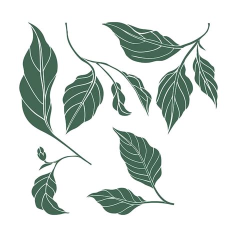 Premium Vector Chili Pepper Leaf Icons Set Hot Pepper Color Silhouette Asian Or Mexican Cuisine