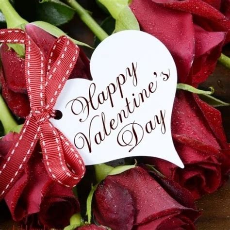 Bankthai Nude Pics XHamster