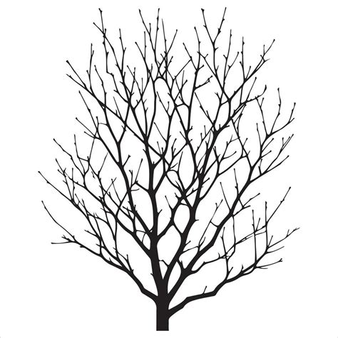 Minimal Autumn Naked Tree Vector Silhouette 36271921 Vector Art At Vecteezy