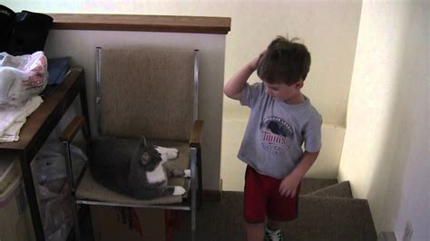 Nakita The Cat Youtube