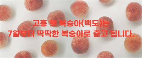 고흥 향긋하고 달콤한 햇 백도복숭아4과5과 명품복숭아달달한복숭아딱딱이복숭아 청정지역의 깨끗한 특산물을 고흥몰