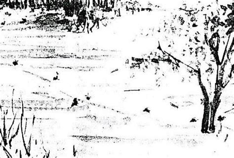 Voices And Votes The Naked Voters Of Kansas Story Humanities Kansas