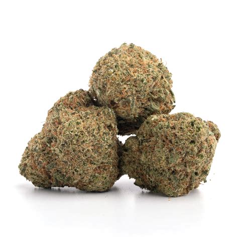Alaskan Thunder Fuck Buy Low Green Online Dispensary Canada