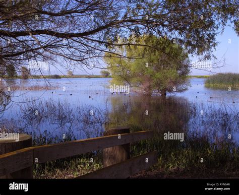 Merced National Wildlife Refuge Merced Ca Usa Stock Photo Alamy