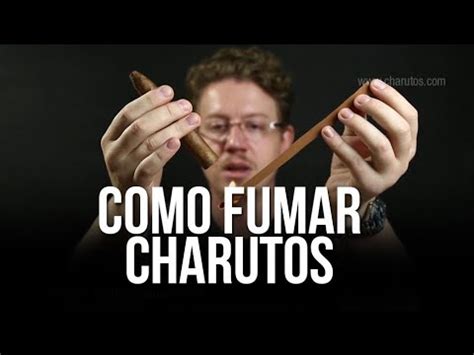 Como Fumar Um Charuto Como Degustar Um Charuto Degustando Charutos