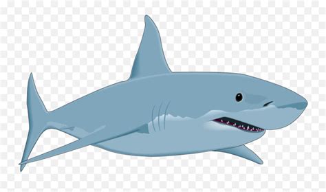 Great White Shark Drawing Clip Art Great White Shark Cartoon Png