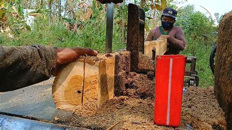 LUAR BIASAMerajang Kayu Jati Mengunakan Gergaji Mesin Bandsaw Rakitan