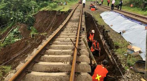 Indonesia Landslide Death Toll Rises To 50 Roya News