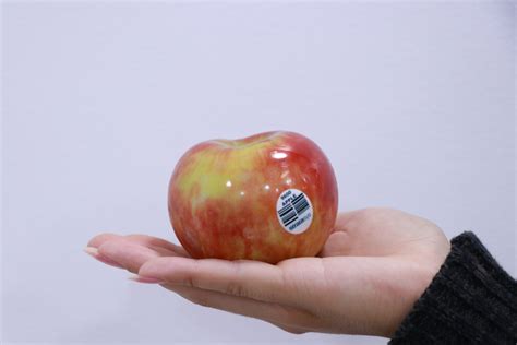 Contact Our Team | Start Your Project | Seattle 3D Printing