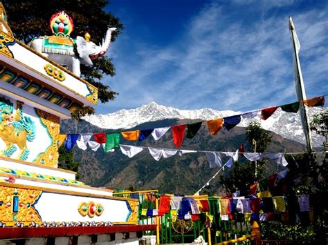 Best Places To See In Mcleod Ganj And Dharamsala