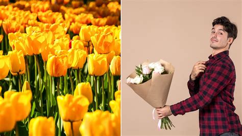 Por Qué Se Regalan Flores Amarillas El 21 De Marzo N