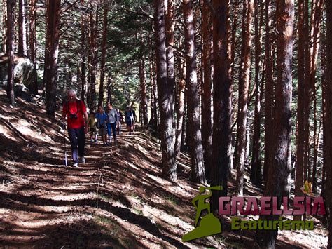 Cuaderno De Campo De Graellsia Ecoturismo Los Colores Del Oto O