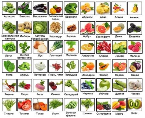 Меню на неделю для похудения с рецептами и списком продуктов, указанием ...