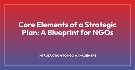 Core Elements of a Strategic Plan: A Blueprint for NGOs - NGO ...