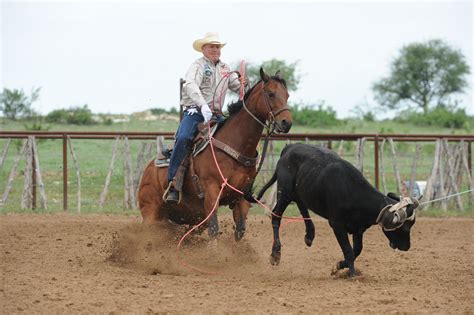 ropingcom faqs  team roping journal