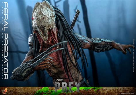 The Feral Predator From Prey Takes Hot Toys Form
