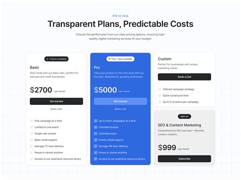 Subscription Pricing Model by Afnan Mishu on Dribbble