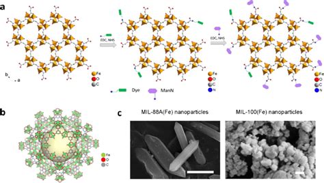 Crystalline Structure And Images Of MOFs A Scheme Of MIL 88A Fe