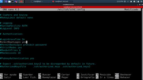 Habilitar Conexiones Ssh En Kali Linux Mundo Openit