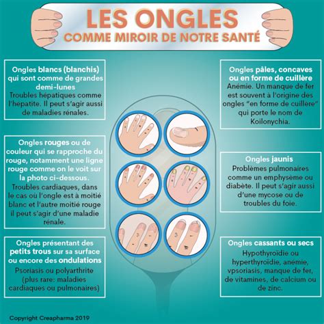 Santé Des Ongles Creapharma