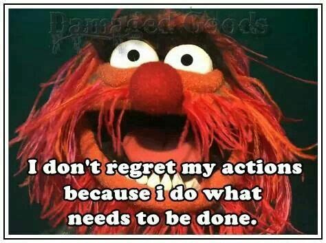 48 best images about Animal (muppet ) quotes on Pinterest | Lol funny, The muppets and Spirit animal