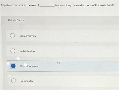 Solved Appellate Courts Have The Role Of Because They Review Chegg