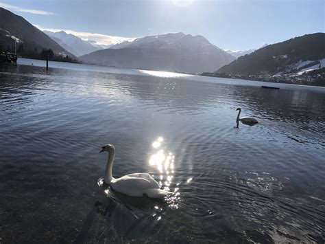 Zellersee