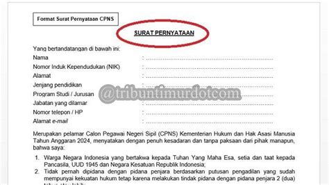 Contoh Surat Pernyataan Cpns 2024 Lengkap Link Download Halaman 2 Tribun