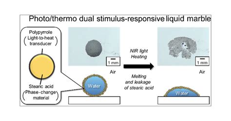 Photo/Thermo Dual Stimulus-Responsive Liquid Marbles Stabilized with ...