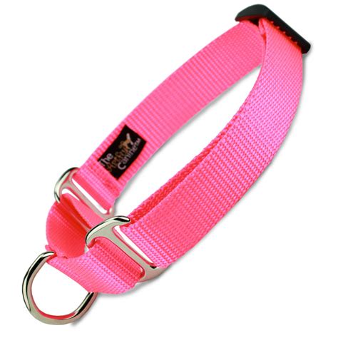 Martingale Dog Collar, Purple Nylon, Limited Slip Dog Collar, Safety Collar