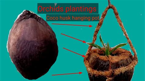 Orchids Planting In A Coconut Husk Hanging Pot Diy Youtube