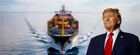 Momex | Trump's Victory Sends Shockwaves Through Global Trade: What It