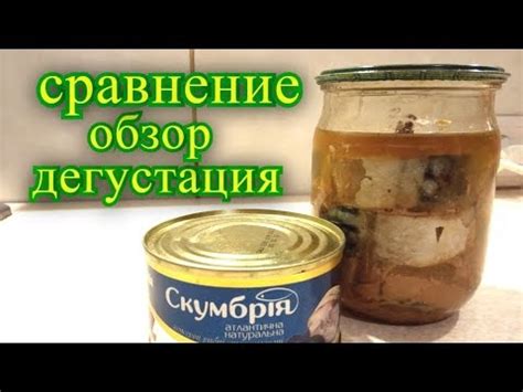 домашняя скумбрия в масле, Обзор,сравниваем с магазинной, дегустация ...